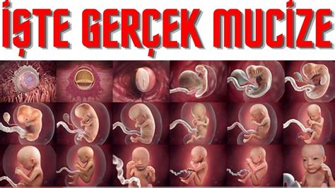 kasko hasarsızlık kademeleri kasko hasarsızlık kademeleri