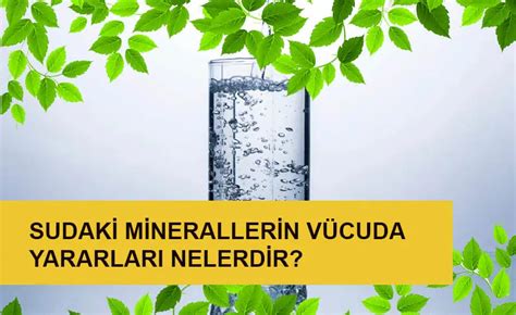 özel sağlık sigortası kapsamı özel sağlık sigortası kapsamı